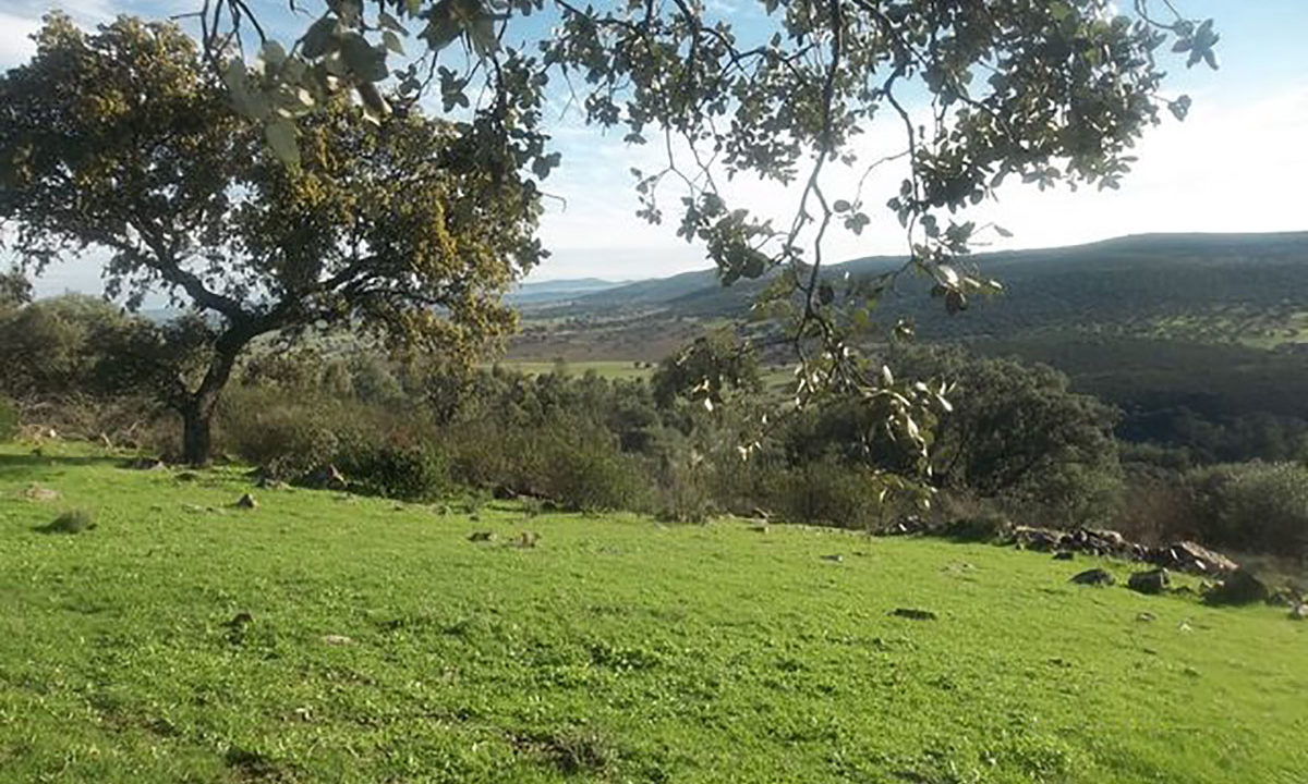 Isidro-Inmoiliria-70has-la-Serena-04