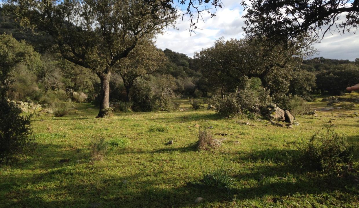 Isidro-inmobiliaria-finca-rustica-almoharin-02