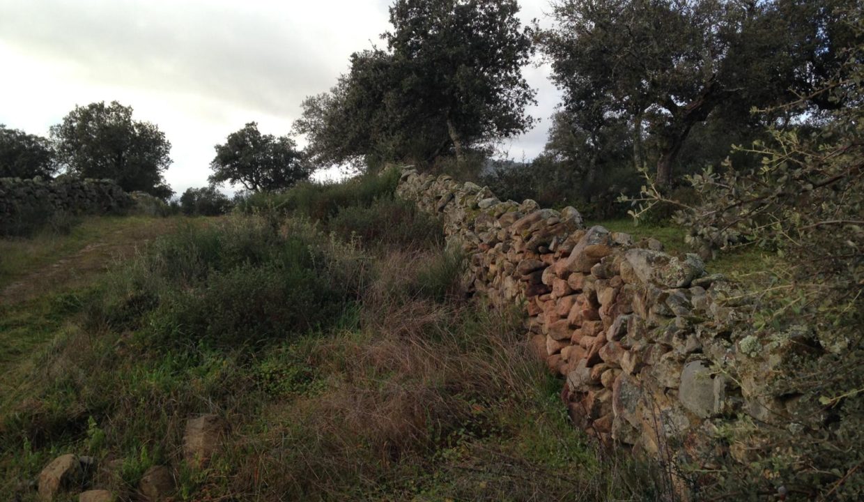 Isidro-inmobiliaria-finca-rustica-almoharin-03
