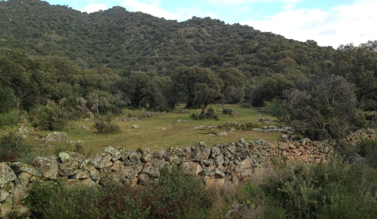 Isidro-inmobiliaria-finca-rustica-almoharin-04