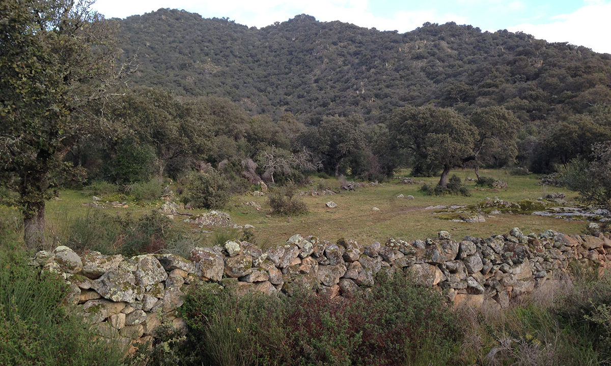isidro-imobiliaria-finca-rustica-almoharin-03