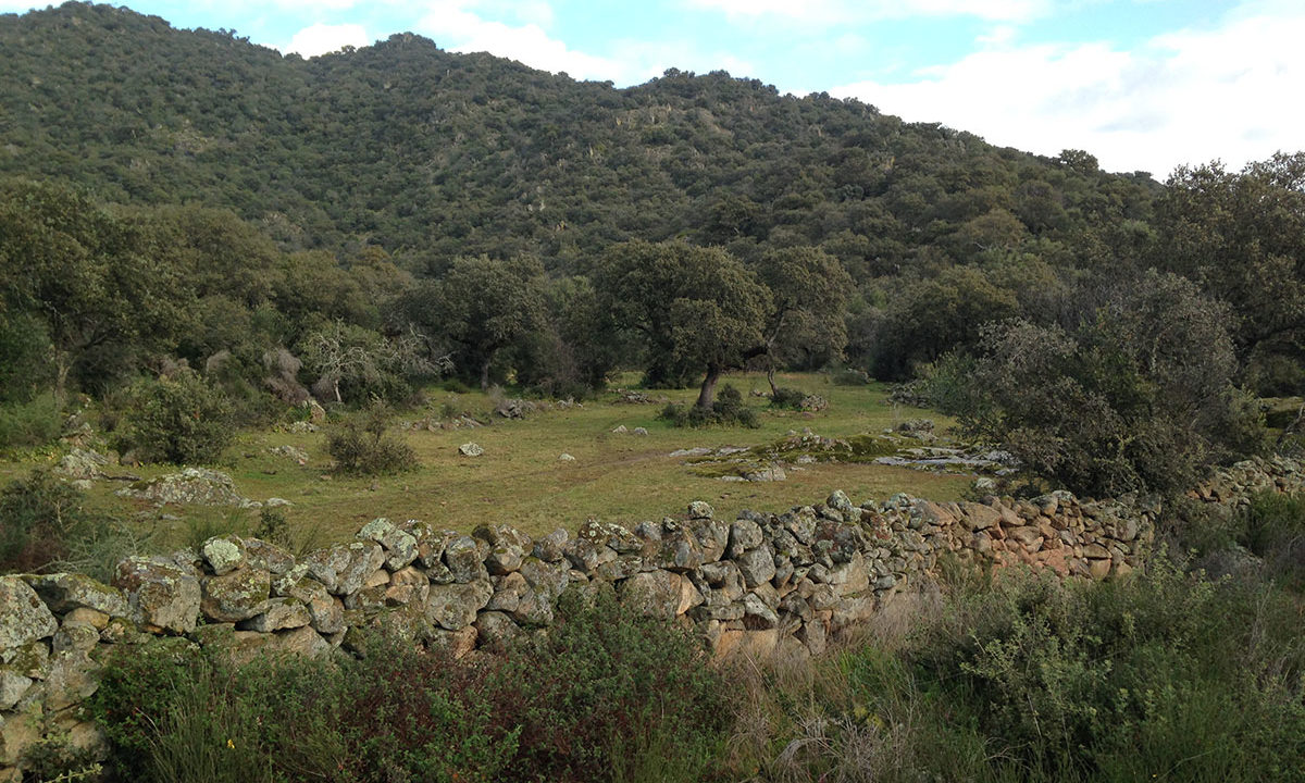 isidro-imobiliaria-finca-rustica-almoharin-04
