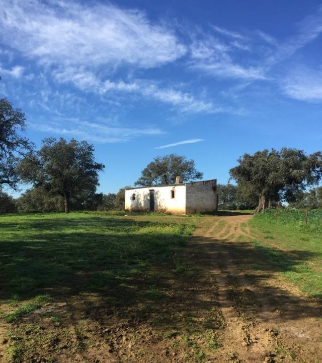 isidro-inmobiliaria-Inmueble-6274-02