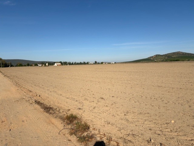 Finca de 28,62 ha de regadío